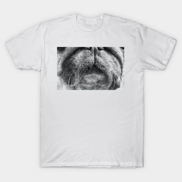 Funny mask with dog mouth design - dog mouth mask T-Shirt by jack22